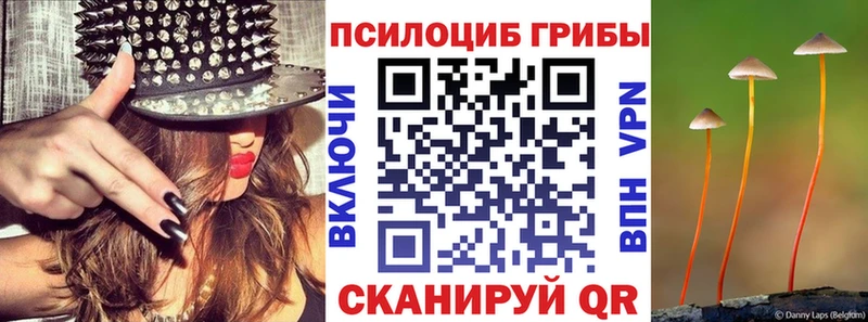 купить наркотики сайты  MEGA   Псилоцибиновые грибы GOLDEN TEACHER  Кизел 